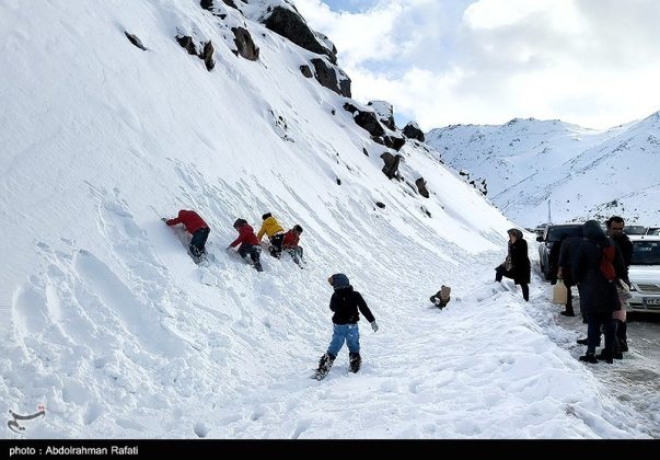 Snowfall in the Heights of Tarikdarreh, Iran's Hamadan