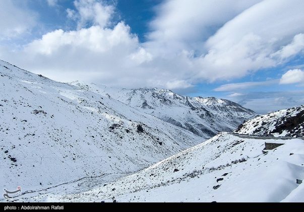 Snowfall in the Heights of Tarikdarreh, Iran's Hamadan