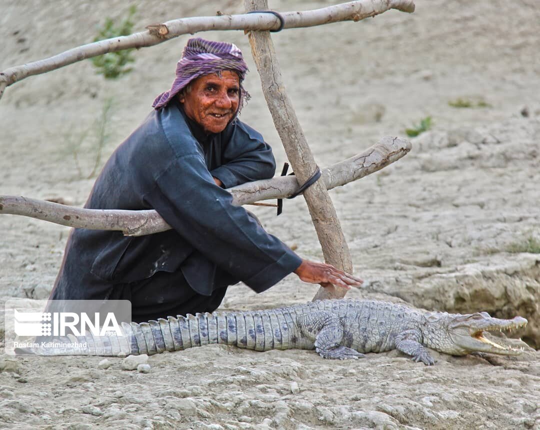 Authorities warn residents in Iran's southeast to watch for local crocodiles after heavy rains