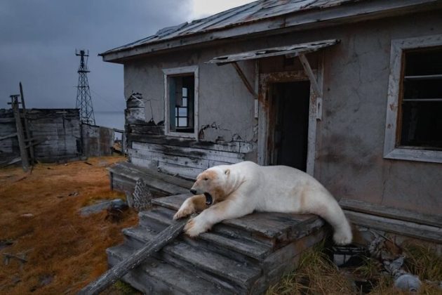 AP releases 2025 Photos of the Year, highlighting global conflict and political unrest