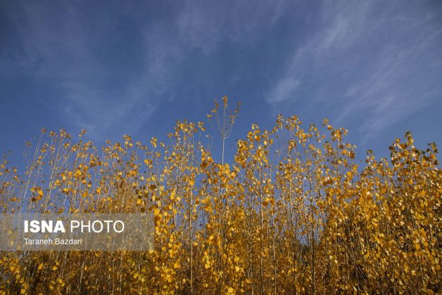 Autumn colors draw visitors to Alishtar in Iran’s Lorestan