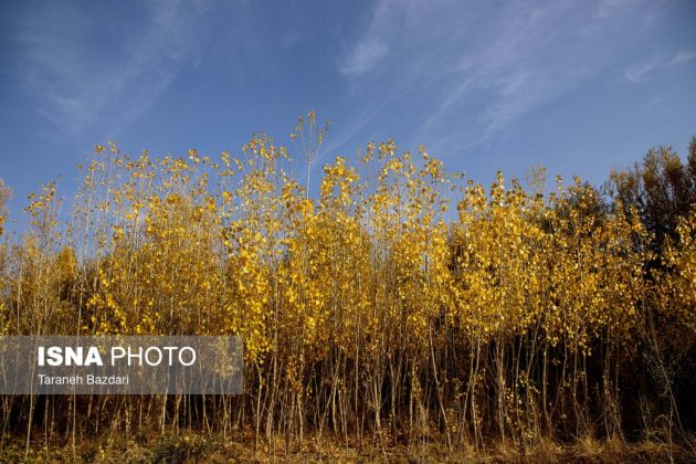Autumn colors draw visitors to Alishtar in Iran’s Lorestan