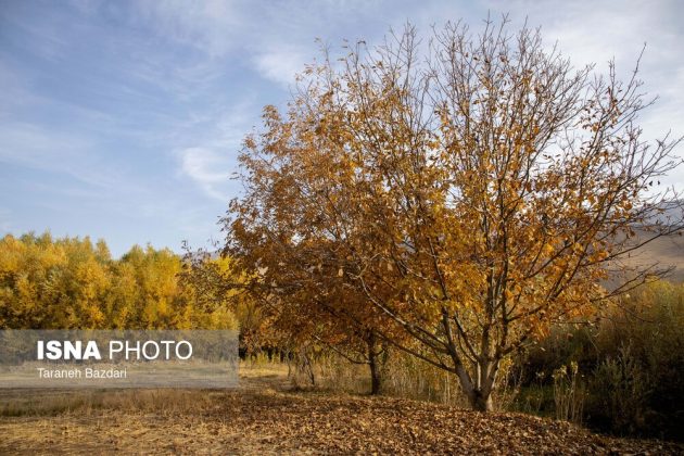Autumn colors draw visitors to Alishtar in Iran’s Lorestan