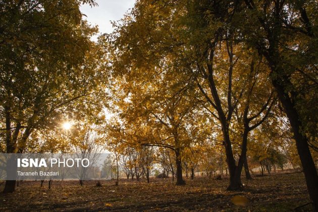 Autumn colors draw visitors to Alishtar in Iran’s Lorestan