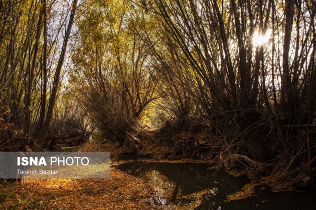 Autumn colors draw visitors to Alishtar in Iran’s Lorestan