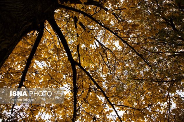 Autumn colors draw visitors to Alishtar in Iran’s Lorestan
