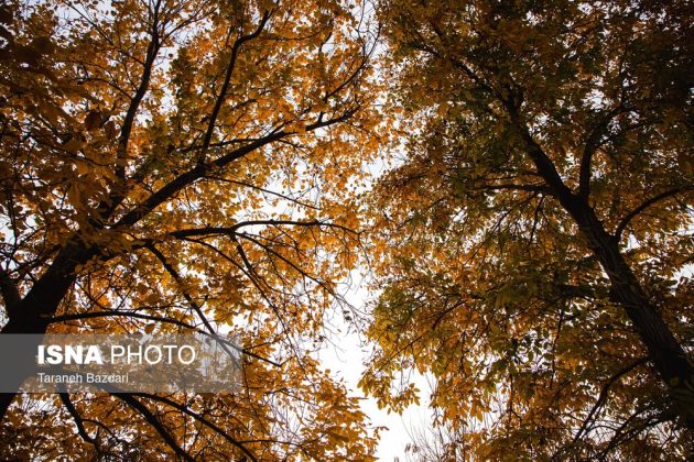 Autumn colors draw visitors to Alishtar in Iran’s Lorestan