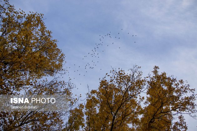Autumn colors draw visitors to Alishtar in Iran’s Lorestan