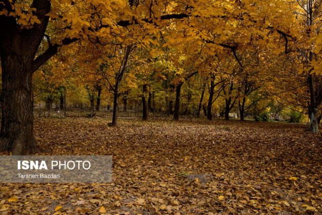 Autumn colors draw visitors to Alishtar in Iran’s Lorestan