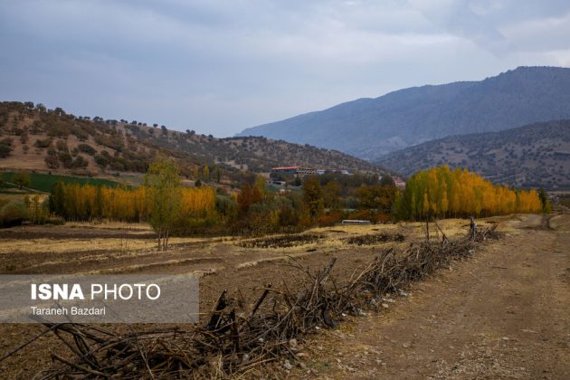 Autumn colors draw visitors to Alishtar in Iran’s Lorestan