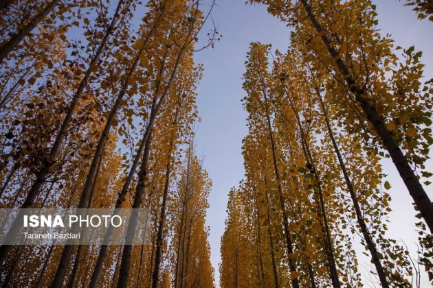 Autumn colors draw visitors to Alishtar in Iran’s Lorestan