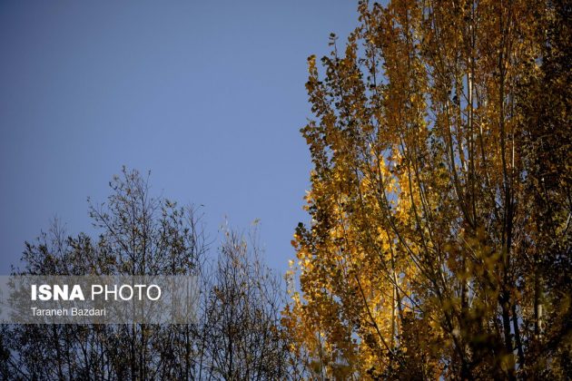 Autumn colors draw visitors to Alishtar in Iran’s Lorestan