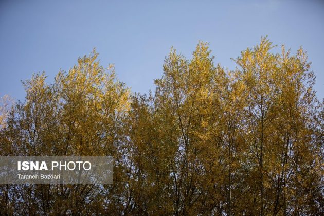Autumn colors draw visitors to Alishtar in Iran’s Lorestan
