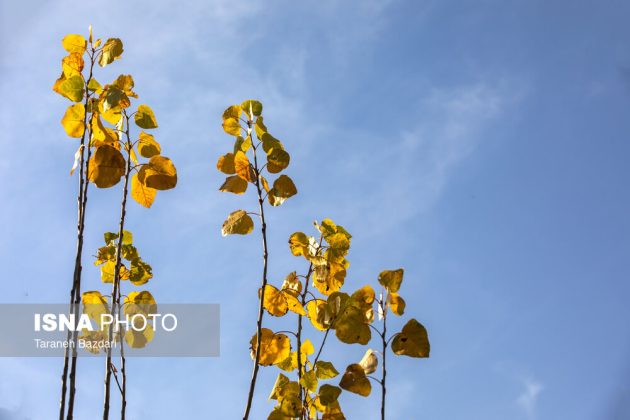 Autumn colors draw visitors to Alishtar in Iran’s Lorestan