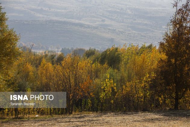 Autumn colors draw visitors to Alishtar in Iran’s Lorestan