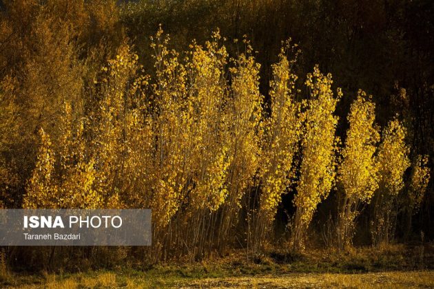 Autumn colors draw visitors to Alishtar in Iran’s Lorestan