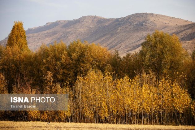 Autumn colors draw visitors to Alishtar in Iran’s Lorestan