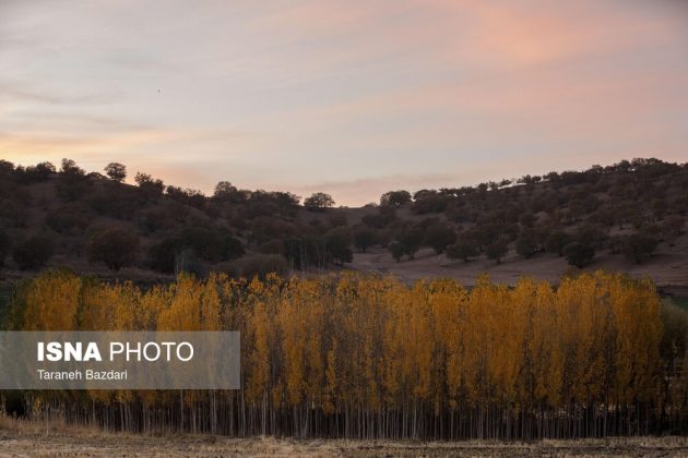 Autumn colors draw visitors to Alishtar in Iran’s Lorestan