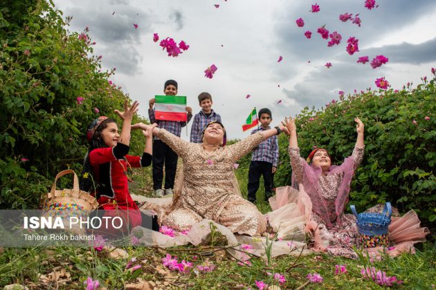 Rose Harvest and Rosewater Preparation in Memory of the Martyred Students of Minab